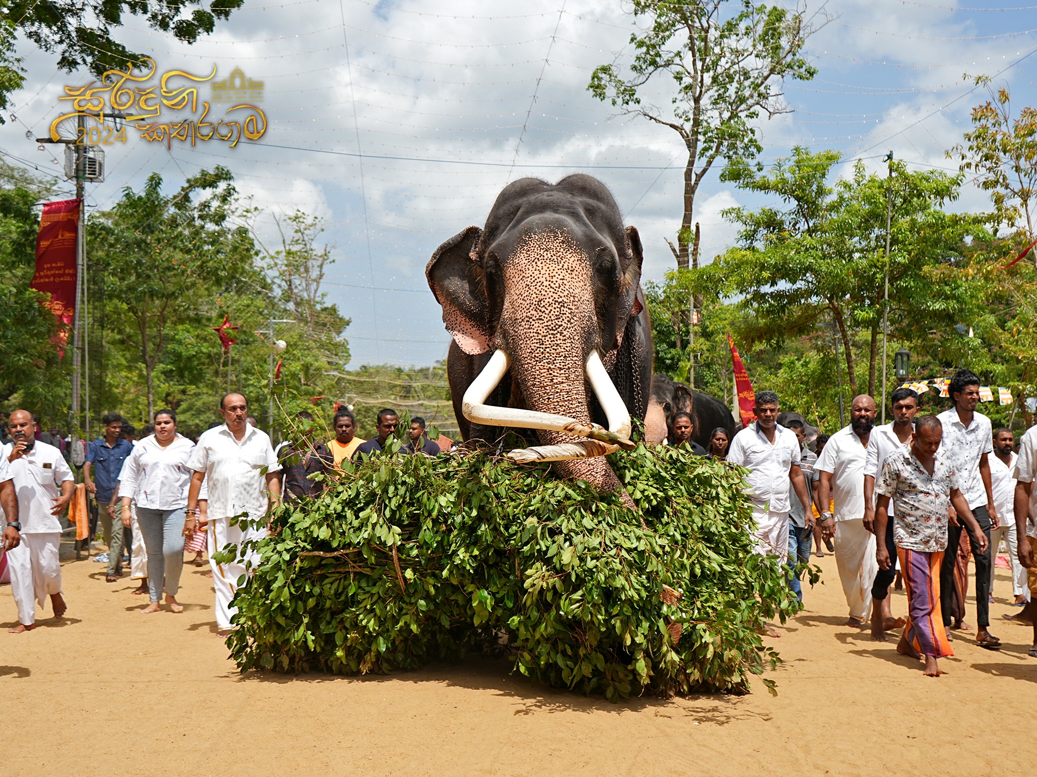 Thisara Resort — hotel near Kataragama temple Sri Lanka