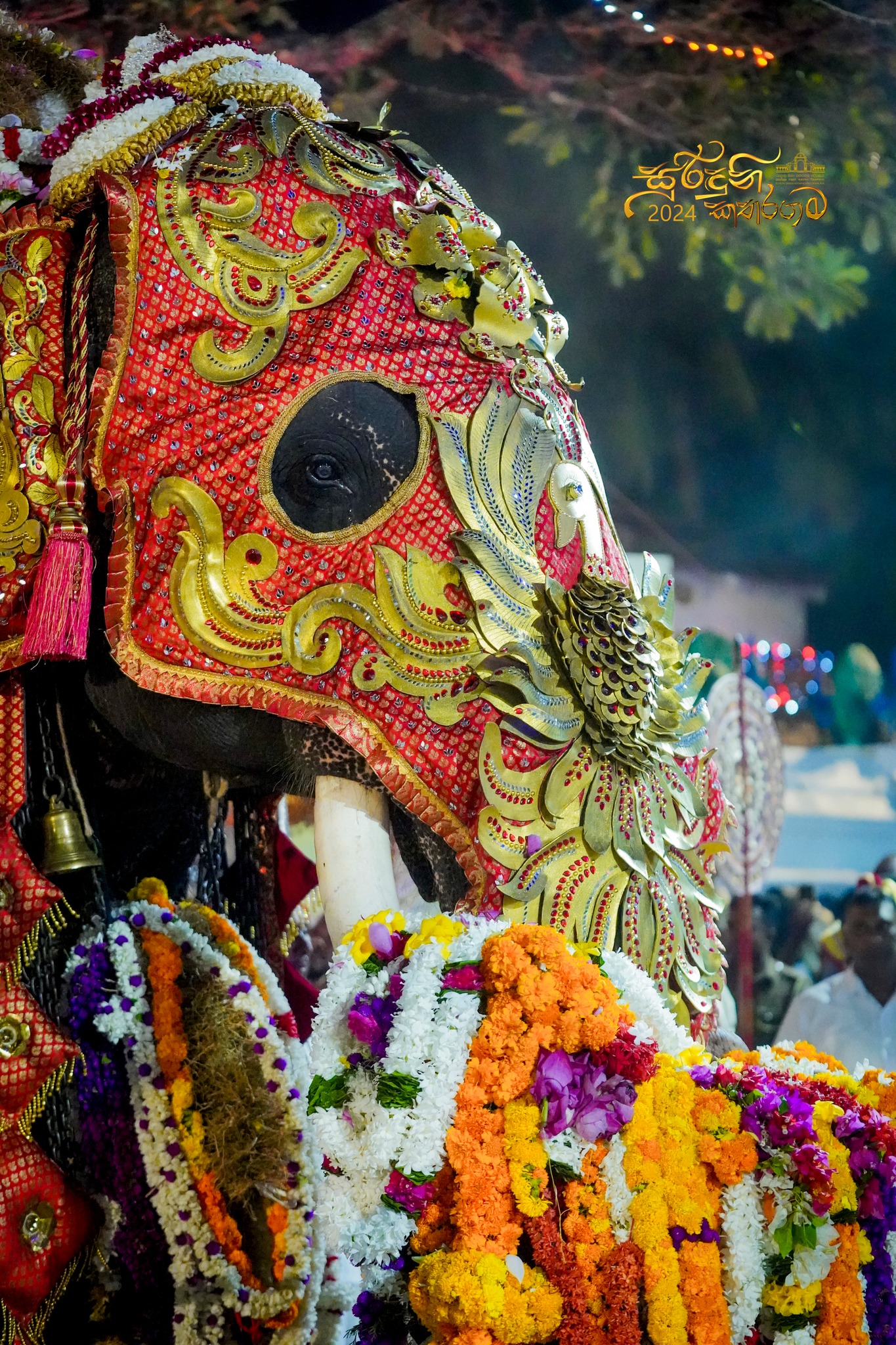 Livinya Holiday Resort — hotel near Kataragama temple Sri Lanka