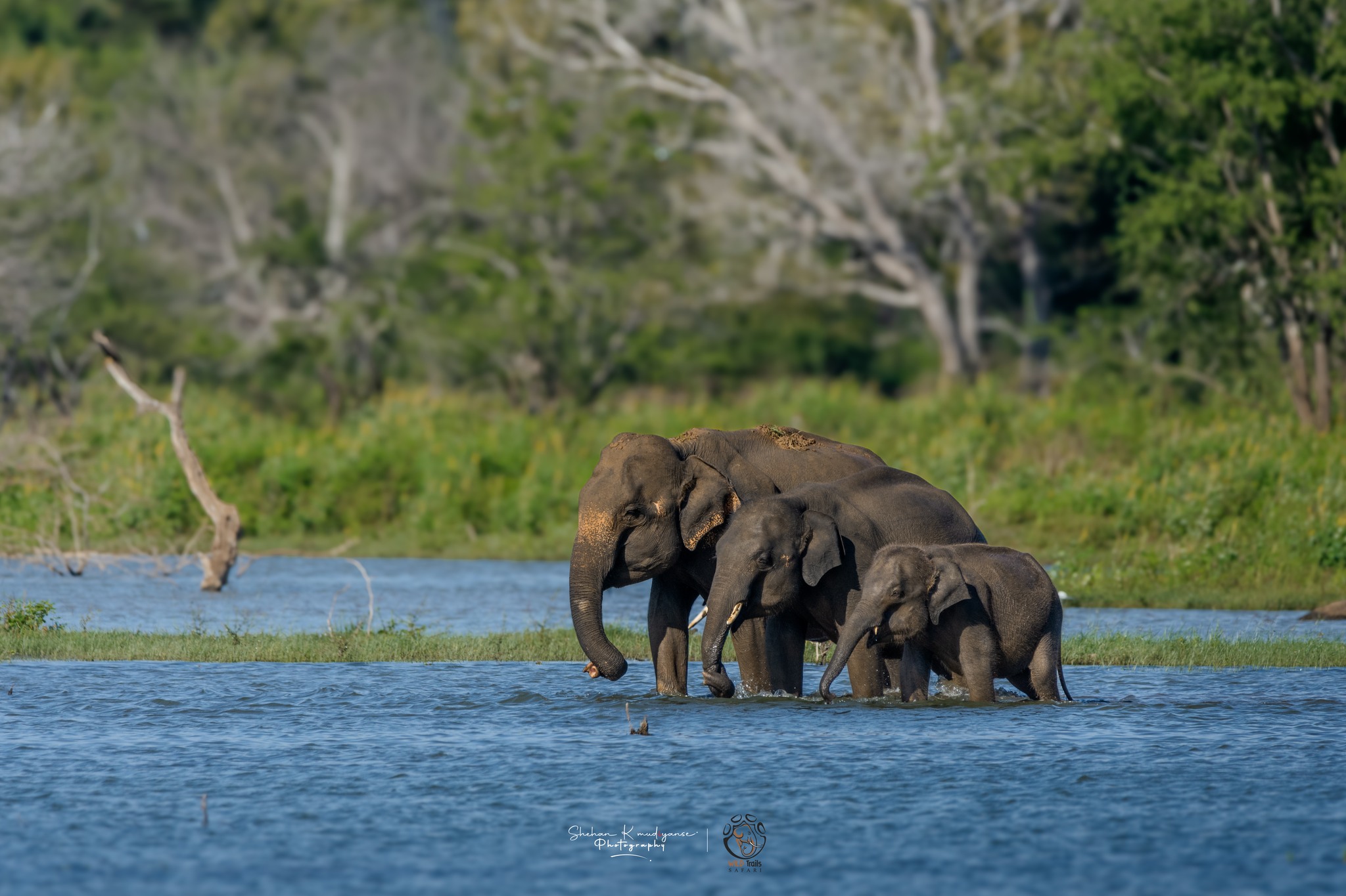 Lunugamvehera National Park
