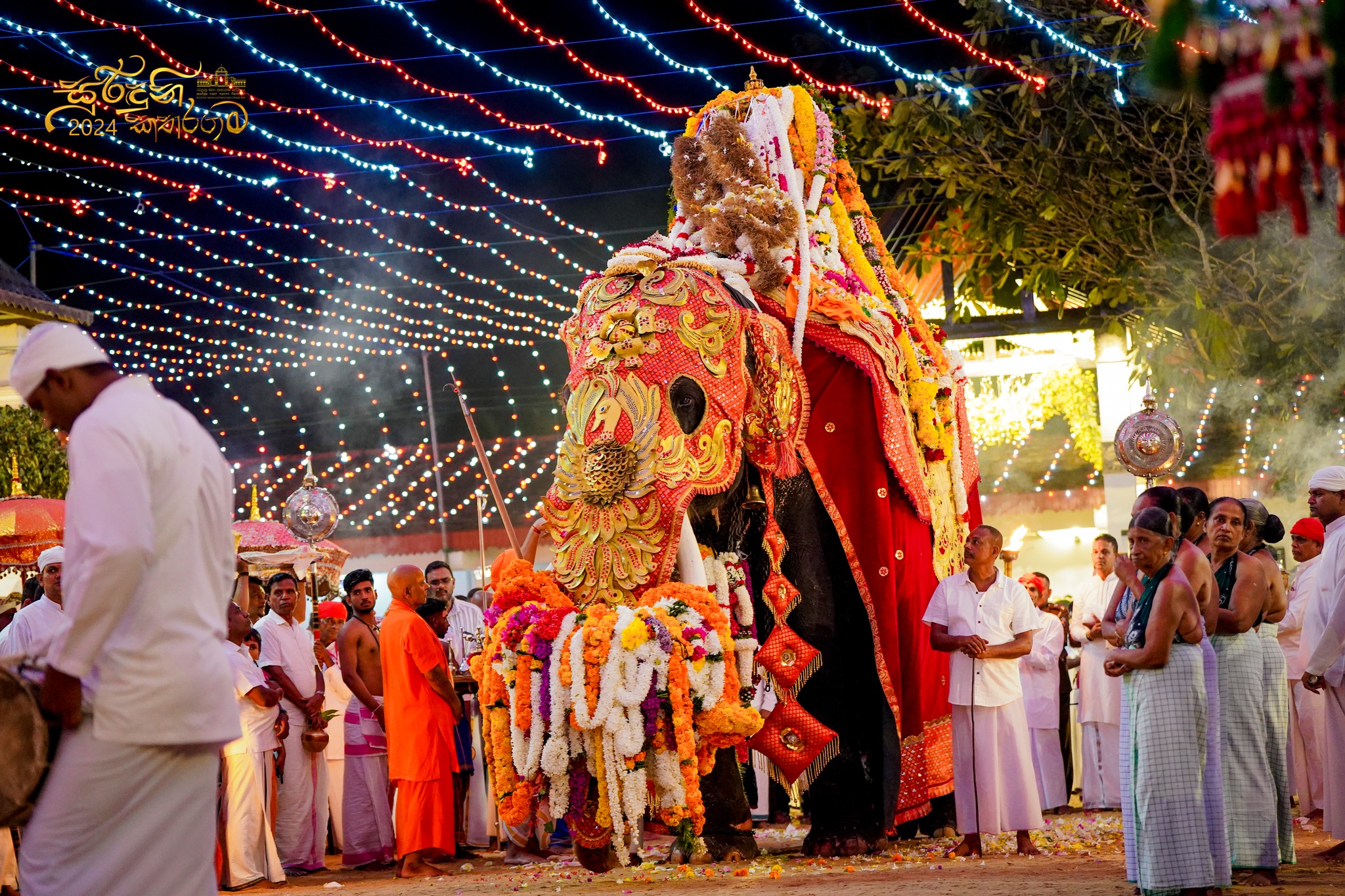 Esala Perahera festival procession at Kataragama with elephants