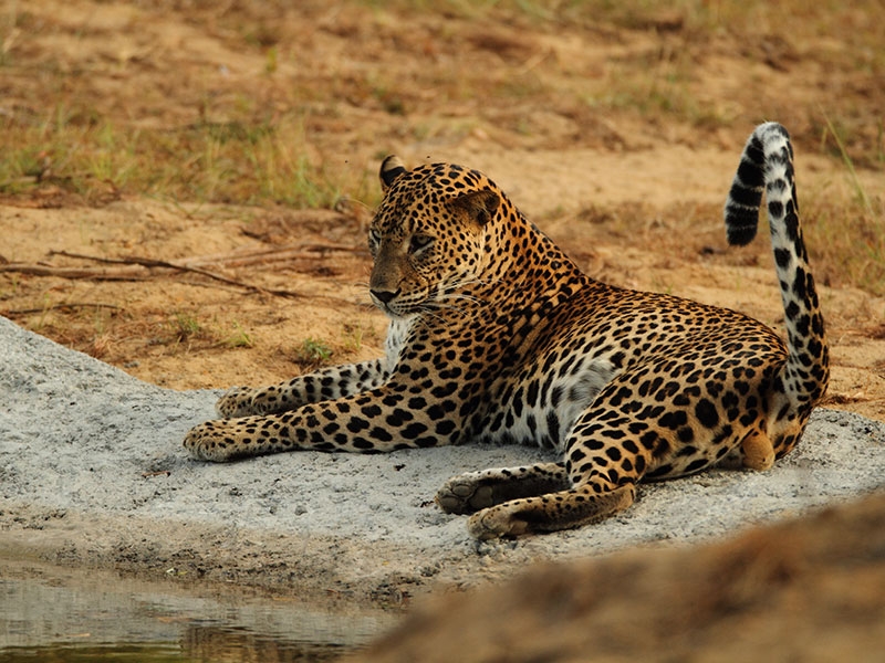 Nearby attractions around Kataragama